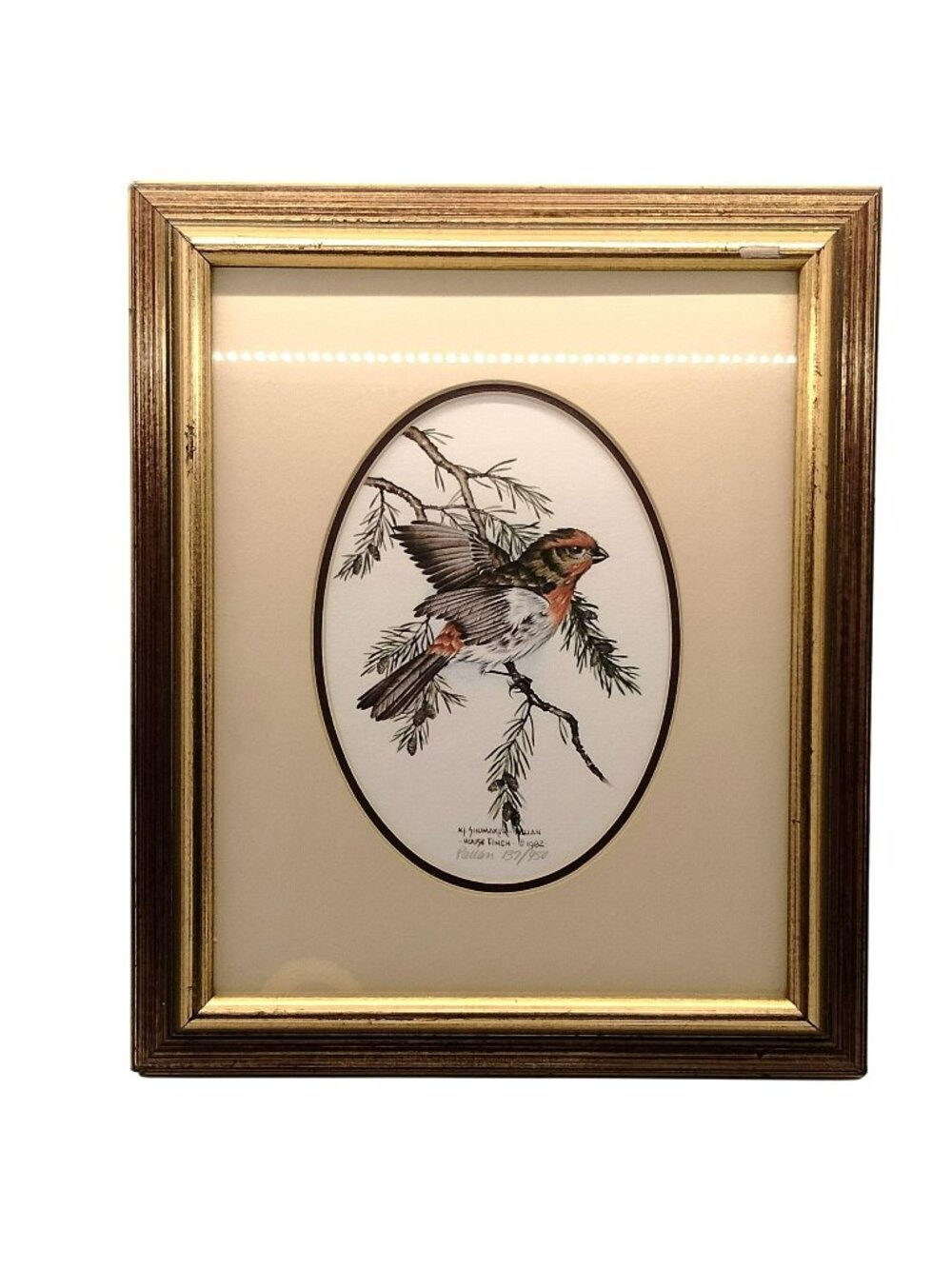 Nancy J. Shumaker Pallan Framed Bird Art Print House Finch 1982 Numbered 137/950